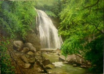 ������� �������� ����-����