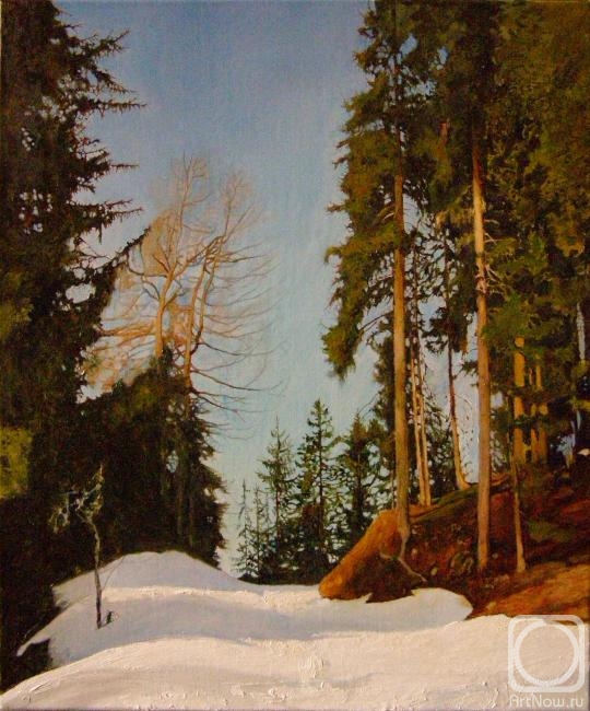 Egorov Viktor. Shadows on the snow. Sunny day in the Alps
