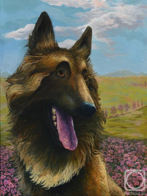 ������� ������ �� ������. ��������� ���������. �����