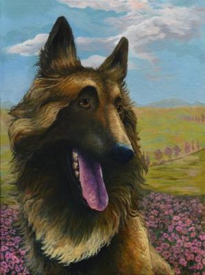 ������� �������