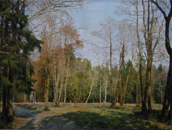 Spring day in the park. Sergeevka