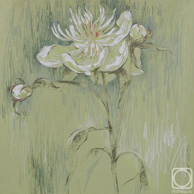 �������. ���� �����. ����� ����