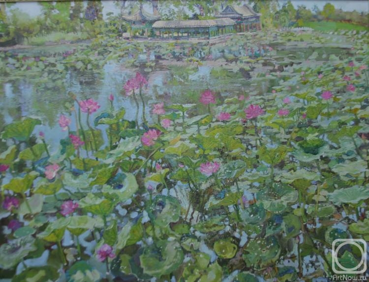 ������� ������ �� ������. �������� ������. ������ ��� �������