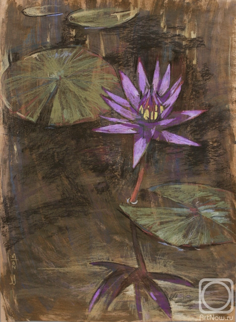 �������. ���� �����. ������ � � ���������