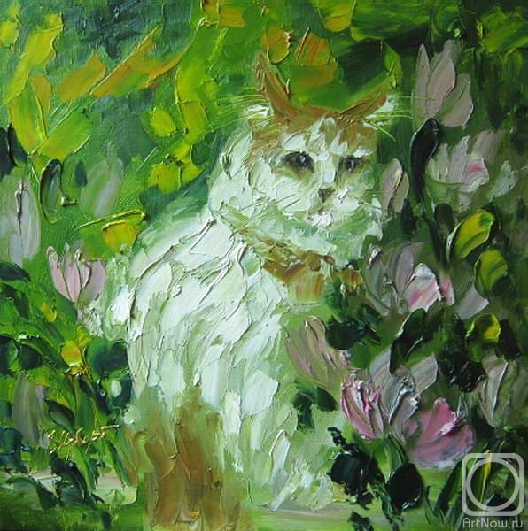 ������� ������ �� ������. ������ ����. ������ ����. � ����