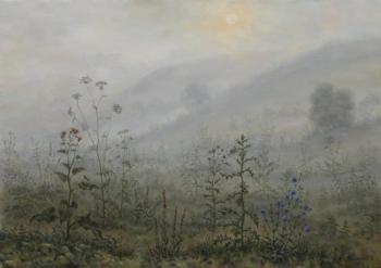 Meadow in a fog. Momotov Dmitrii