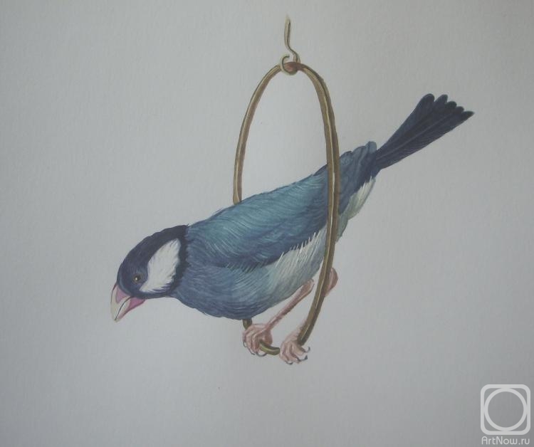 �������. ������� �������. �����