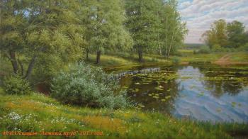 Summer pond. Osipsow Wladislaw