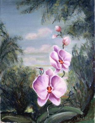 Orchid. Belokrinitskaya Natalia