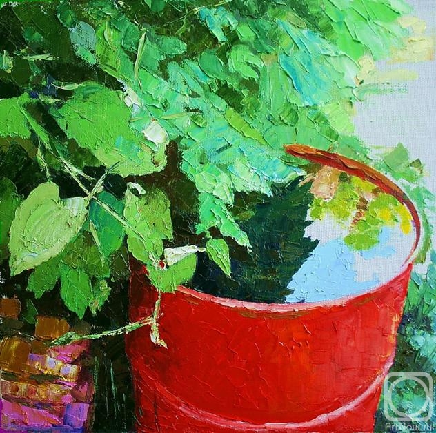 ������� ������ �� ������. ������ ������. �����