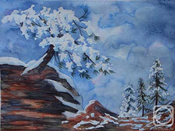 Lukaneva Larissa. Winter pine