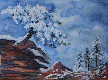 Winter pine. Lukaneva Larissa