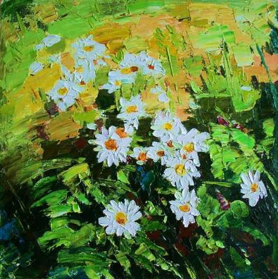 ������� ����� 65�