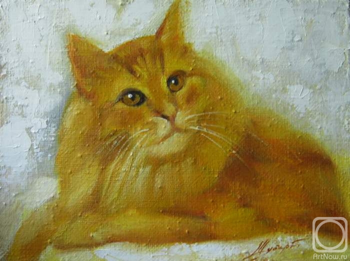 ������� ������ �� ������. ������ �������. ���������