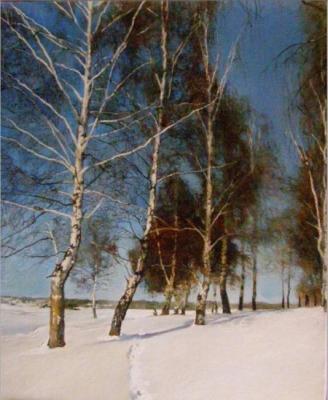 Winter day.Birch trees