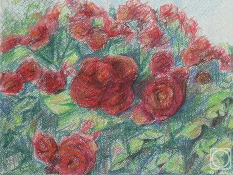 �������. ���������� �����. ����