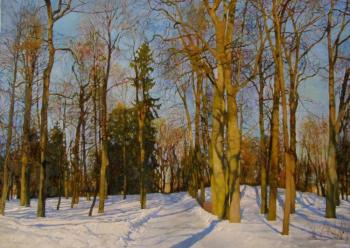 Winter in the park. Gatchina