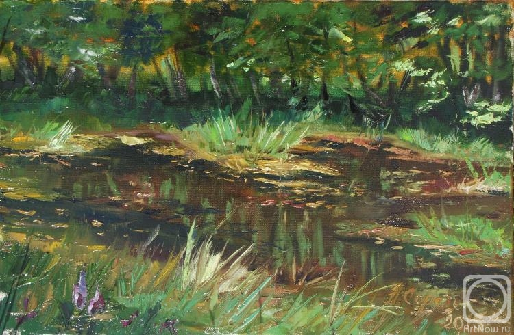 Kirichenko (Sorel) Natalia. Overgrown pond