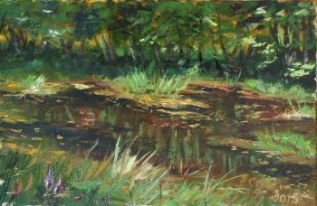 Overgrown pond. Kirichenko (Sorel) Natalia