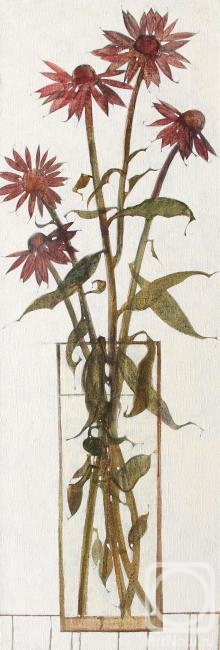 Belova Natalya. Echinacea purpurea