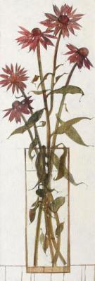 Echinacea purpurea. Belova Natalya