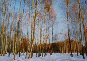 In the winter the park (The Beauty Of Russian Nature). Egorov Viktor