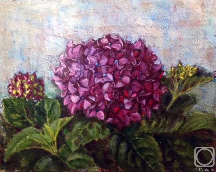 �������. ������� �����. ���������