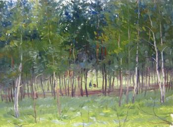 On the edge of the forest (etude). Voronov Vladimir