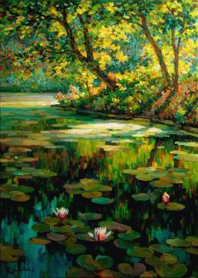 overgrown pond. Volkov Sergey