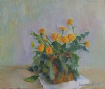 ����������. ��������� ���������