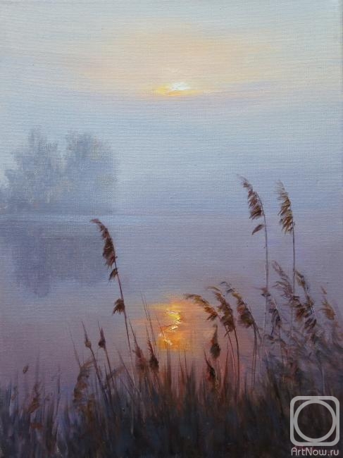 ������� ������ �� ������. ���������� ���������. �����