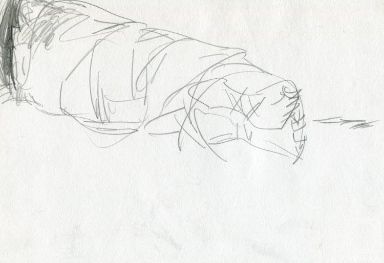 �������. ������ ��������. ��������� ����