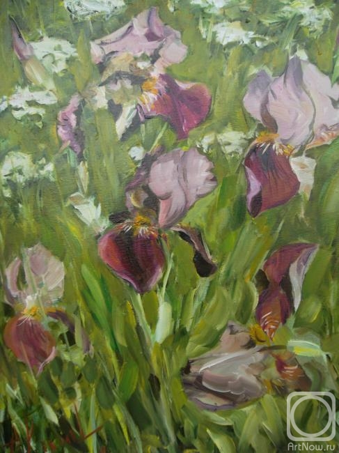 ������� ������ �� ������. ������� ������. �����