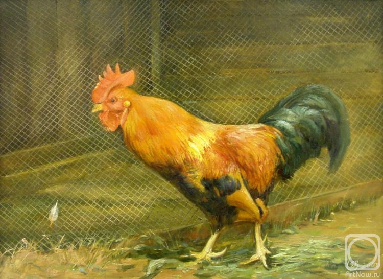 ������� ������ �� ������. ������� ��������. �������