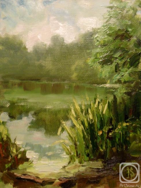 ������� ������ �� ������. �������� �����. ������ ���� ���� (����)