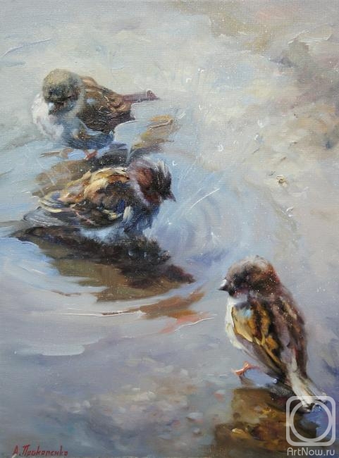 ������� ������ �� ������. ���������� ���������. �������