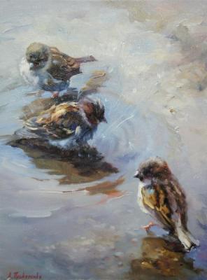 ������� ��������