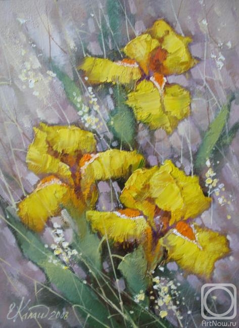 ������� ������ �� ������. ����������� �����. �����