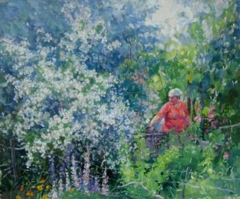 Jasmine bush. Voronov Vladimir