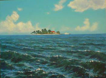 Islet in the ocean. Rogov Vladimir