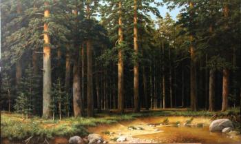 Pine forest. Gorskiy Alex