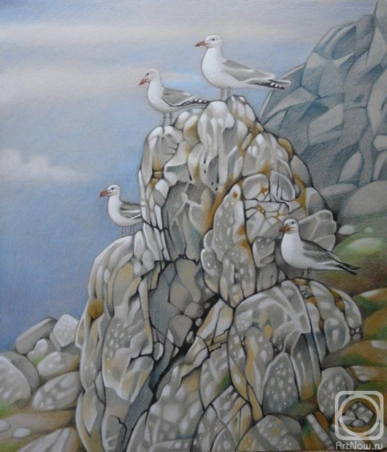 �������. ������ ���. ��������� �������