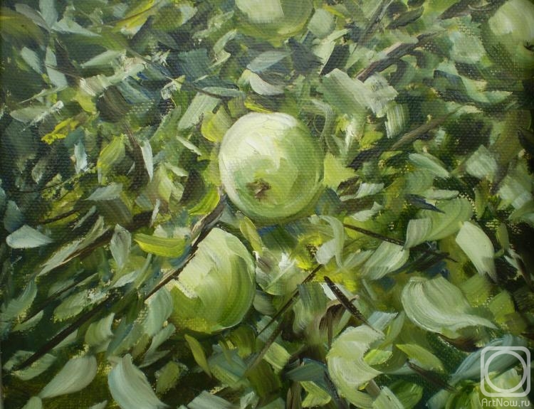 ������� ������ �� ������. ������� ������. ������ �� �����. �1