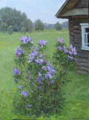 ������� ������� � ������������ ����