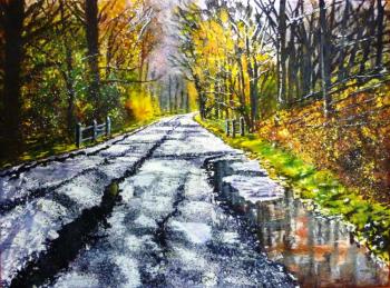 Road after rain. Strunina Galina