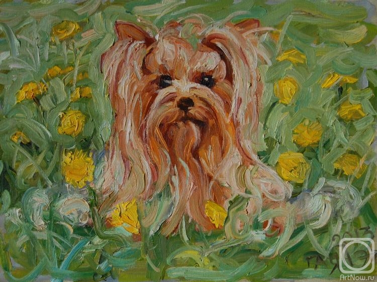 Dobrovolskaya Gayane. Portrait of a dog number 2