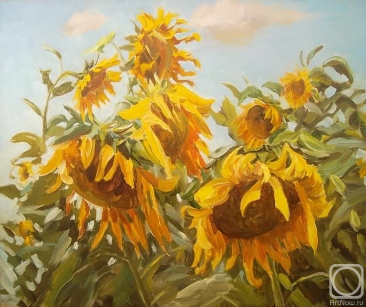 ������� ������ �� ������. ������� ������. ���������� �������