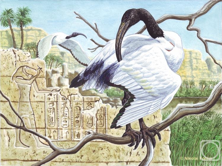 Fomin Nikolay. Sacred ibis