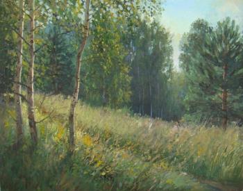 August in the woods. Plotnikov Alexander