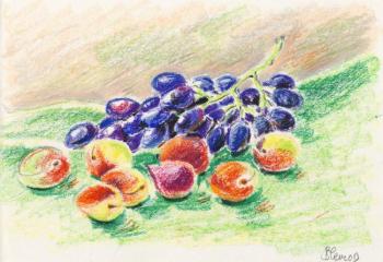 Still life with grapes and apricots